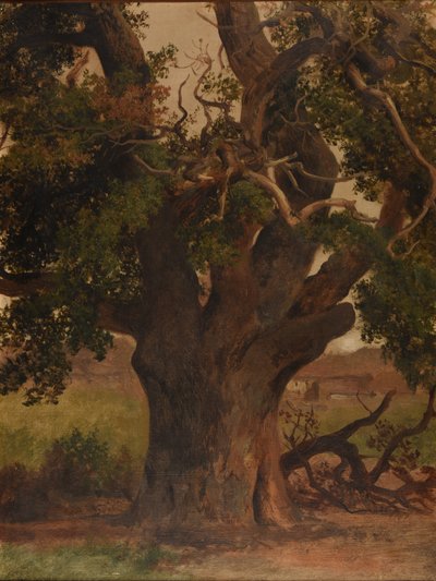  by Jacques Raymond Brascassat