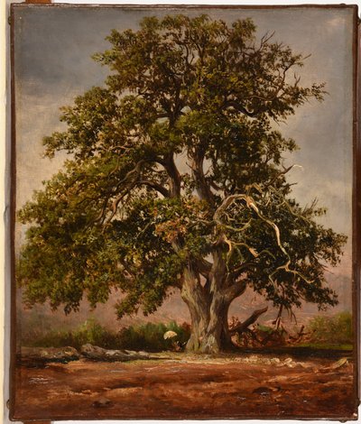  by Jacques Raymond Brascassat