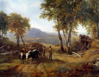 Ayrıntı Ormanı
