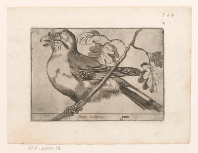 Gaai Gaio (nesne üzerindeki başlık) Vogels (dizi adı) by Jacques de Fornazeris (possibly)