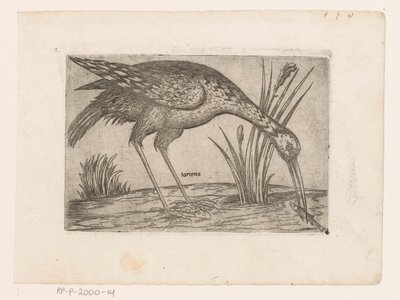 Vogel Tartena (nesne üzerindeki başlık) Vogels (dizi adı) by Jacques de Fornazeris (possibly)