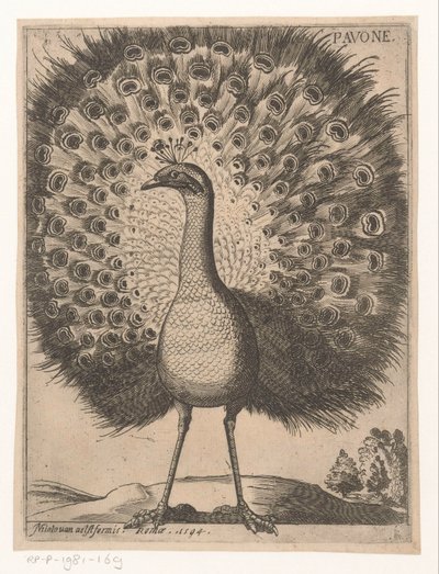 tavuskuşu Pavone (nesne üzerindeki başlık) Nine Birds (dizi adı) by Jacques de Fornazeris