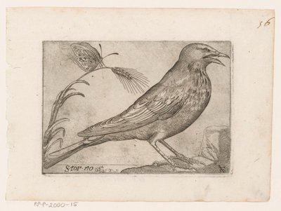 Sığırcık (Sturnus vulgaris) Storno (nesne üzerindeki başlık) Kuşlar (dizi adı) by Jacques de Fornazeris