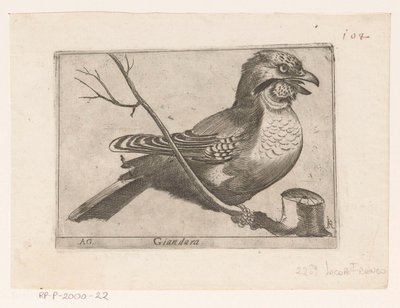Jay (Garrulus glandarius) Giandara (nesne üzerindeki başlık) Kuşlar (dizi adı) by Jacques de Fornazeris