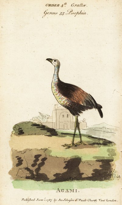 Sıradaki Heron, sıradaki sıradaki by Jacques de Seve