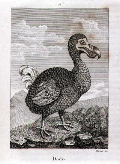 Oliver Goldsmith
