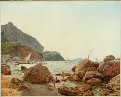 Capri adasındaki büyük donanma by Jakob Alt