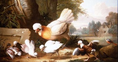 Peyzajda Kümes Hayvanları ve Güvercinler by Jakob Bogdani or Bogdany