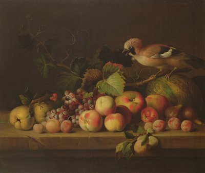 Meyve, Jay ve Papağan ile Natürmort by Jakob Bogdani or Bogdany