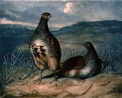 Keklikler, Charles Turner (1773-1857), pub tarafından oyulmuş İngiliz Tüy Oyununun 1. plakası. R. Ackermann, c.1810 (mezzotint gravür) by James (after) Barenger