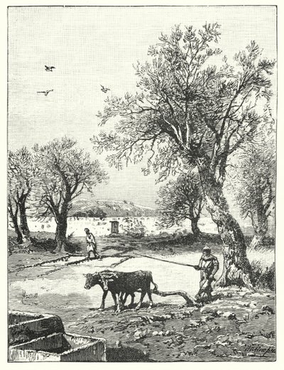 Bir bağda çiftçilik (lito) by James (after) Clark