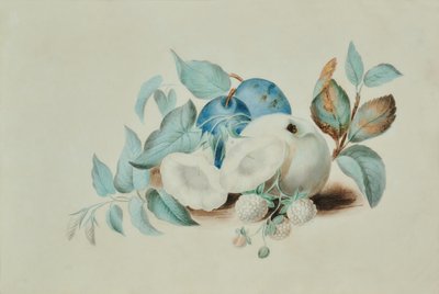 Natürmort by James (attr.to) Goddard