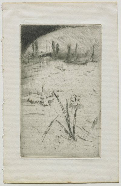 Kuğu ve İris, 1883. by James Abbott McNeill Whistler