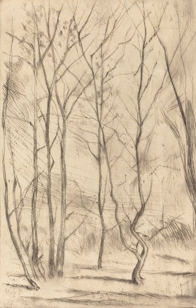 Baraj Ağacı, 1875. by James Abbott McNeill Whistler