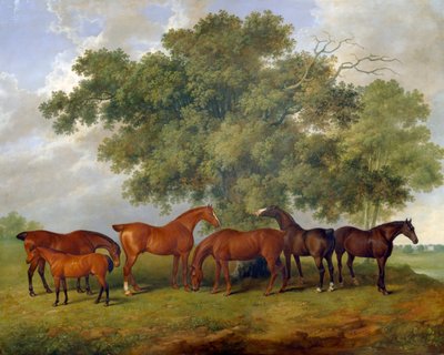 Theobald Stud by James Barenger