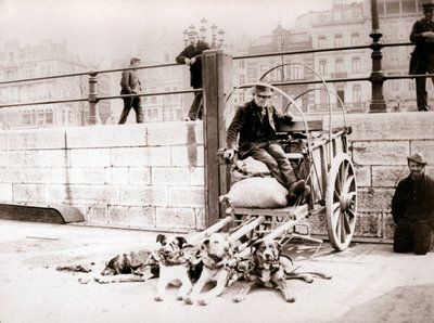 Köpek arabası olan adam, Anvers, 1898. by James Batkin