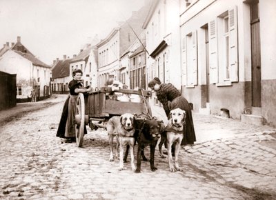 Kadınlar ve köpek arabası, Anvers, 1898 by James Batkin