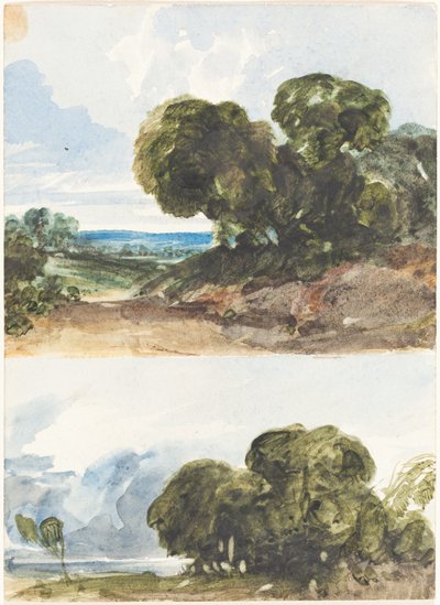 Ağaçların İki Eskizi by James Bulwer