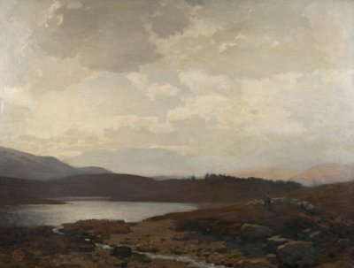 Dinnet Moor (tuval üzerine yağlı boya) by James Cadenhead