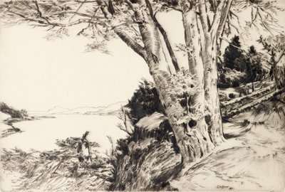 Kayın Ağacı by James Cadzow