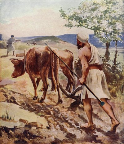 Nasıra yakınlarında çiftçilik by James Clark