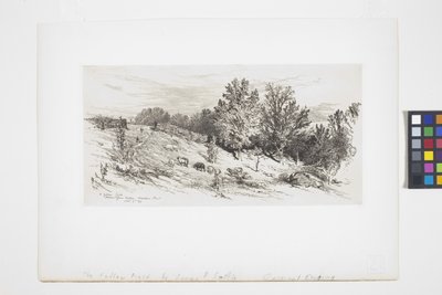 Nadas Alanı (mürekkep) by James David Smillie