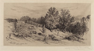 Nadas Alanı by James David Smillie
