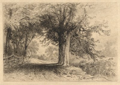 Bir Çiftlik Yolu, Ocak 1887, Opus 2 by James David Smillie