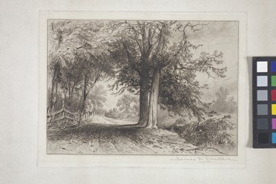 Manzara (gravür, chine collé) by James David Smillie