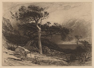 Eski Sedirler, Maine Sahili by James David Smillie