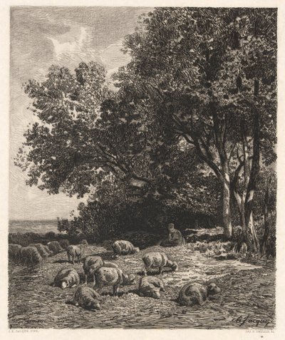 Koyun Otlatma by James David Smillie