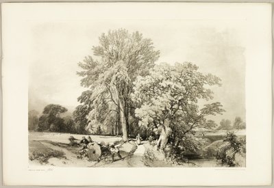 Park ve Orman'dan Abele ve Meşe by James Duffield Harding