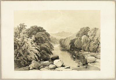 Park ve Orman'dan Kül, Çınar ve Meşe by James Duffield Harding