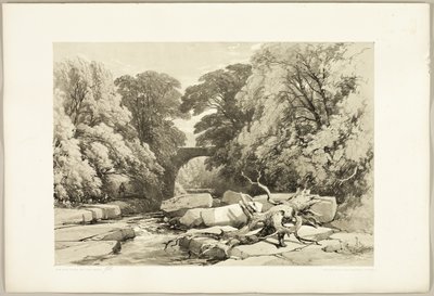 Park ve Orman'dan Greta'da Dişbudak ve Kızılağaç by James Duffield Harding