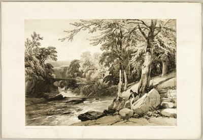 Park ve Orman'dan Greta'da Kayın ve Dişbudak by James Duffield Harding
