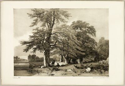 Park ve Ormandan Kayın by James Duffield Harding