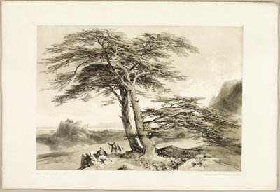  by James Duffield Harding