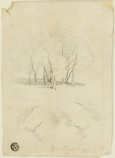 Ağaç Yığını by James Duffield Harding