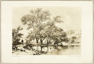 Park ve Ormandan Söğüt by James Duffield Harding