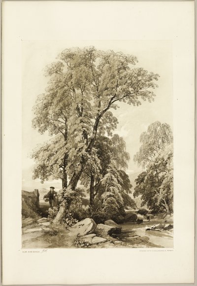 Karaağaç ve Huş, Park ve Orman
