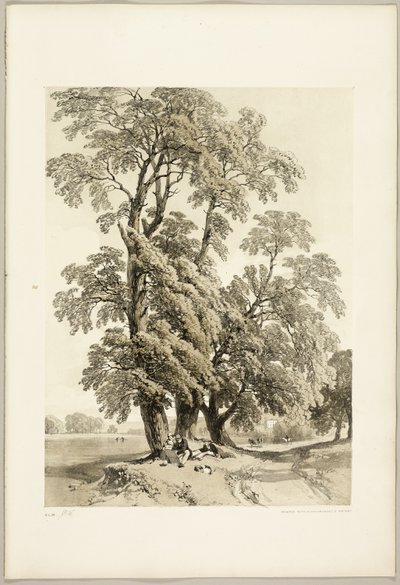 Karaağaç, Park ve Orman'dan by James Duffield Harding