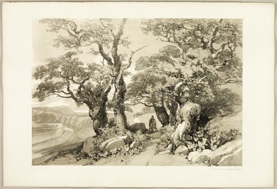 Park ve Orman'dan Eski Meşeler by James Duffield Harding