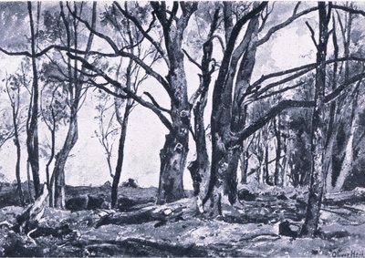 Windsor çayırlarında Pollard Willows, Collins tarafından yayınlanan İngiltere