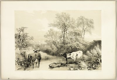 Park ve Ormandan Diken, Söğüt, Kayın ve Huş Ağacı by James Duffield Harding