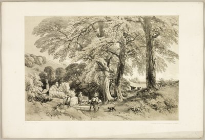 Wych Elm, Park ve Orman'dan by James Duffield Harding