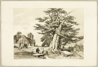 Porsuk, Park ve Orman'dan by James Duffield Harding