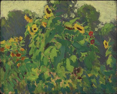 Ayçiçekleri, Thornhill, 1916 (bileşik odun hamuru tahtası üzerinde yağ) by James Edward Hervey Macdonald