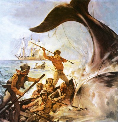 Balina avcısı Peter by James Edwin McConnell