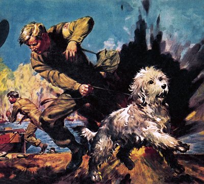  by James Edwin McConnell