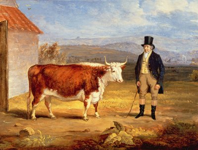 Bay James Hodges ve İki Yaşındaki Hereford Düvesi, 1843 dolayları by James Flewitt Mullock